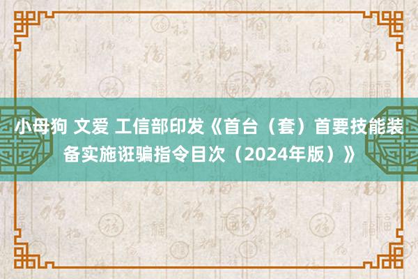 小母狗 文爱 工信部印发《首台（套）首要技能装备实施诳骗指令目次（2024年版）》