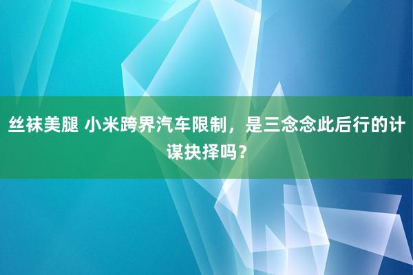 丝袜美腿 小米跨界汽车限制，是三念念此后行的计谋抉择吗？