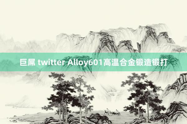 巨屌 twitter Alloy601高温合金锻造锻打