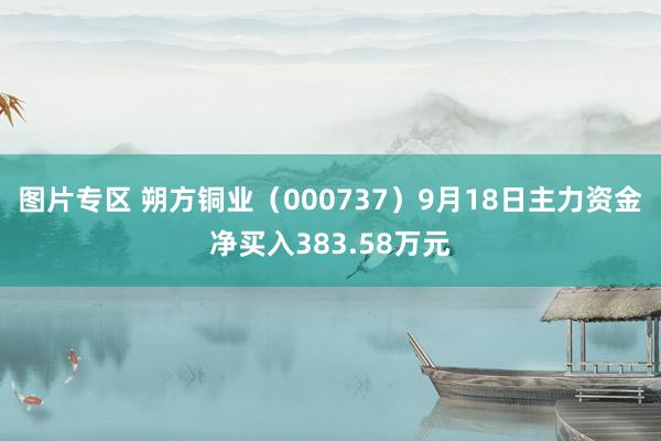 图片专区 朔方铜业（000737）9月18日主力资金净买入383.58万元