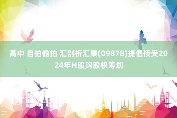 高中 自拍偷拍 汇剖析汇集(09878)提倡接受2024年H股购股权筹划