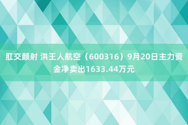 肛交颜射 洪王人航空（600316）9月20日主力资金净卖出1633.44万元