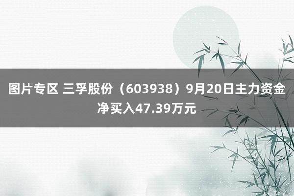 图片专区 三孚股份（603938）9月20日主力资金净买入47.39万元