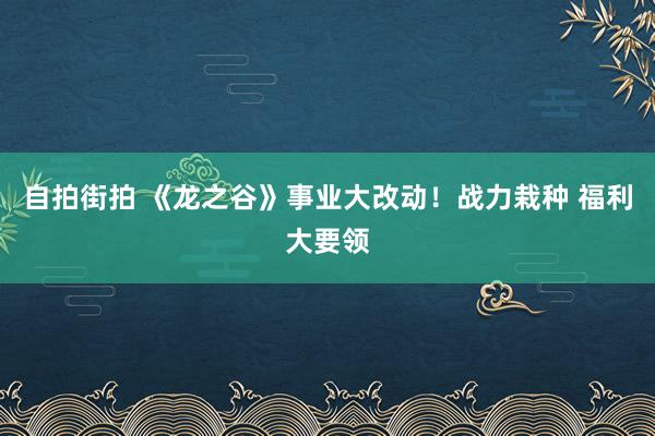 自拍街拍 《龙之谷》事业大改动！战力栽种 福利大要领