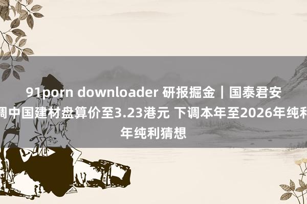 91porn downloader 研报掘金｜国泰君安：下调中国建材盘算价至3.23港元 下调本年至2026年纯利猜想