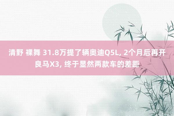 清野 裸舞 31.8万提了辆奥迪Q5L， 2个月后再开良马X3， 终于显然两款车的差距