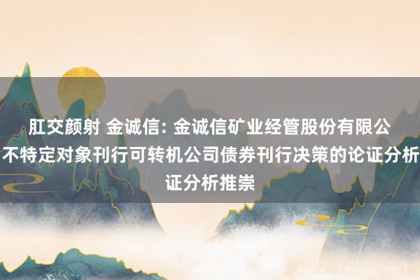 肛交颜射 金诚信: 金诚信矿业经管股份有限公司向不特定对象刊行可转机公司债券刊行决策的论证分析推崇