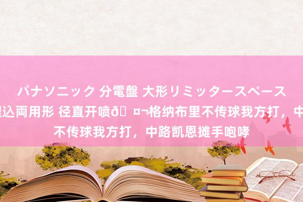 パナソニック 分電盤 大形リミッタースペースなし 露出・半埋込両用形 径直开喷🤬格纳布里不传球我方打，中路凯恩摊手咆哮