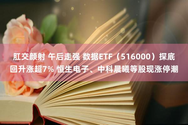 肛交颜射 午后走强 数据ETF（516000）探底回升涨超7% 恒生电子、中科晨曦等股现涨停潮