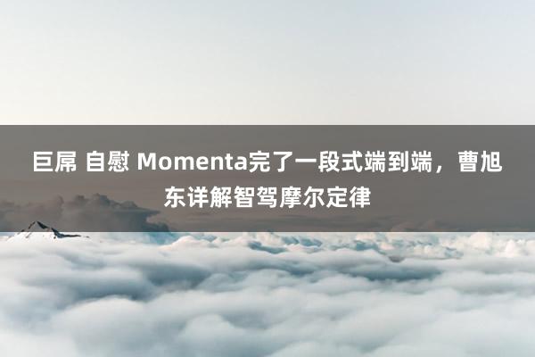 巨屌 自慰 Momenta完了一段式端到端，曹旭东详解智驾摩尔定律