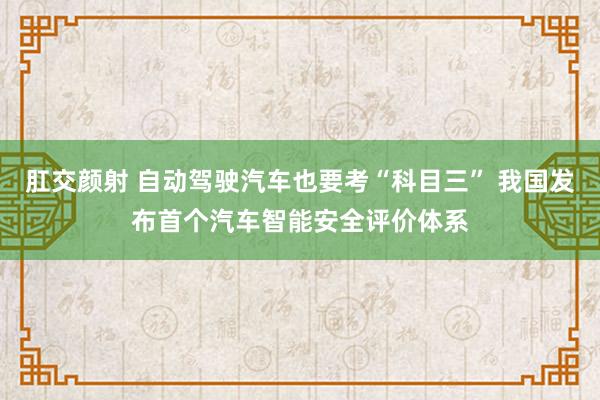 肛交颜射 自动驾驶汽车也要考“科目三” 我国发布首个汽车智能安全评价体系