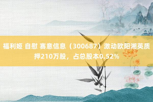 福利姬 自慰 赛意信息（300687）激动欧阳湘英质押210万股，占总股本0.52%