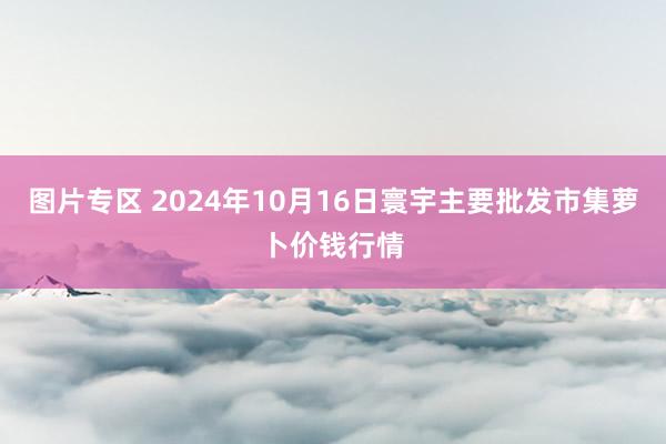 图片专区 2024年10月16日寰宇主要批发市集萝卜价钱行情