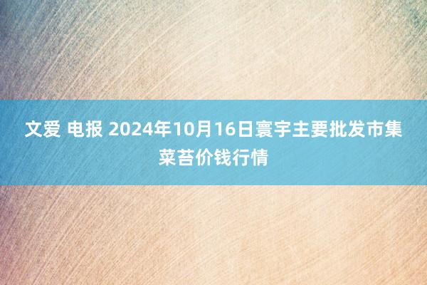 文爱 电报 2024年10月16日寰宇主要批发市集菜苔价钱行情