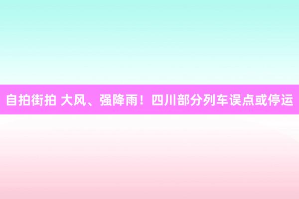 自拍街拍 大风、强降雨！四川部分列车误点或停运