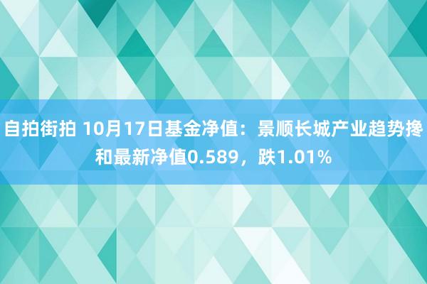 自拍街拍 10月17日基金净值：景顺长城产业趋势搀和最新净值0.589，跌1.01%