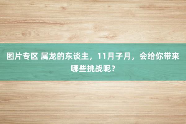 图片专区 属龙的东谈主，11月子月，会给你带来哪些挑战呢？