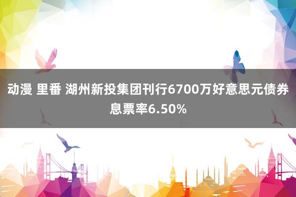 动漫 里番 湖州新投集团刊行6700万好意思元债券息票率6.50%