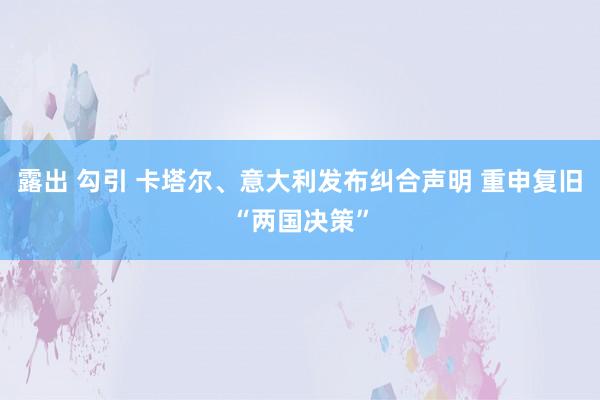 露出 勾引 卡塔尔、意大利发布纠合声明 重申复旧“两国决策”