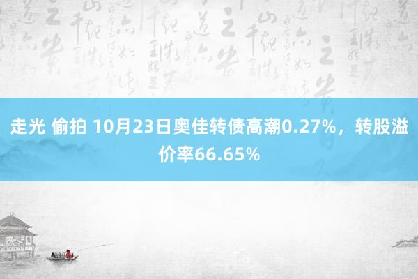 走光 偷拍 10月23日奥佳转债高潮0.27%，转股溢价率66.65%