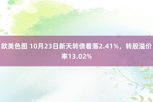 欧美色图 10月23日新天转债着落2.41%，转股溢价率13.02%