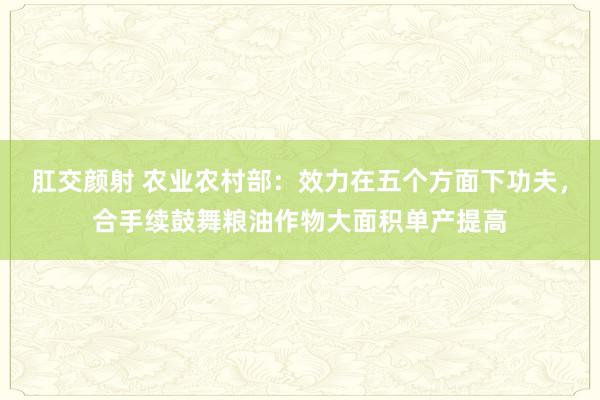 肛交颜射 农业农村部：效力在五个方面下功夫，合手续鼓舞粮油作物大面积单产提高