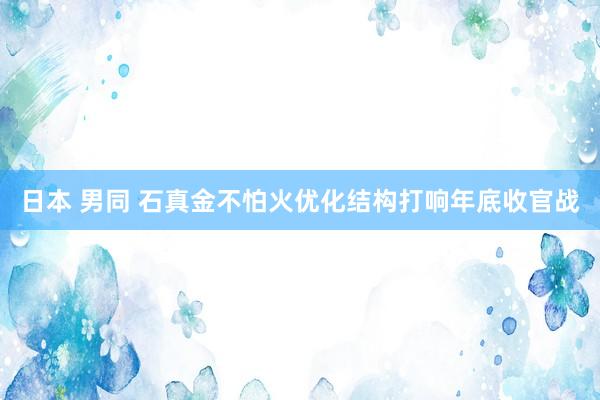 日本 男同 石真金不怕火优化结构打响年底收官战