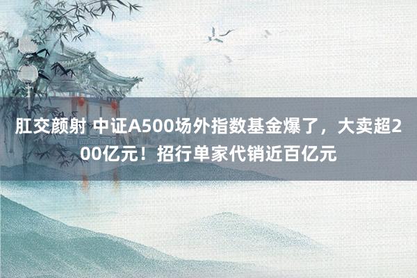 肛交颜射 中证A500场外指数基金爆了，大卖超200亿元！招行单家代销近百亿元