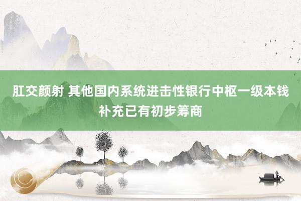 肛交颜射 其他国内系统进击性银行中枢一级本钱补充已有初步筹商