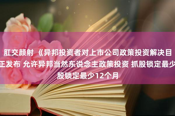 肛交颜射 《异邦投资者对上市公司政策投资解决目的》校正发布 允许异邦当然东说念主政策投资 抓股锁定最少12个月