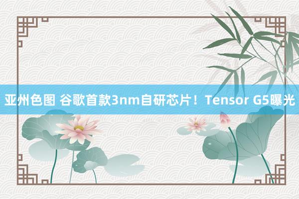 亚州色图 谷歌首款3nm自研芯片！Tensor G5曝光