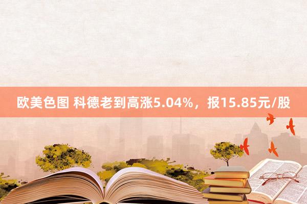 欧美色图 科德老到高涨5.04%，报15.85元/股