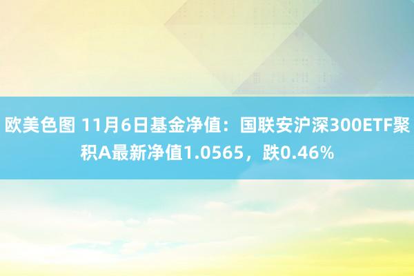 欧美色图 11月6日基金净值：国联安沪深300ETF聚积A最新净值1.0565，跌0.46%