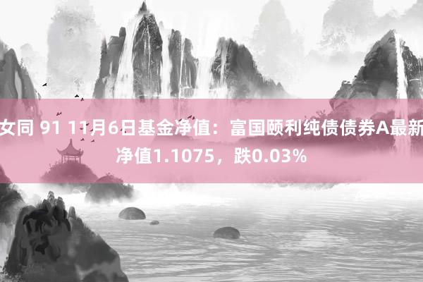 女同 91 11月6日基金净值：富国颐利纯债债券A最新净值1.1075，跌0.03%