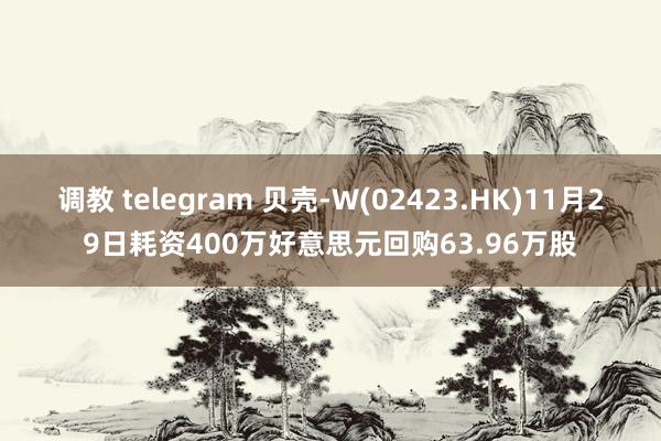 调教 telegram 贝壳-W(02423.HK)11月29日耗资400万好意思元回购63.96万股