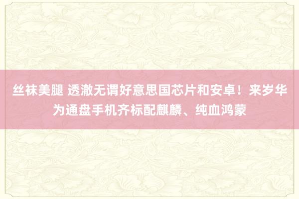 丝袜美腿 透澈无谓好意思国芯片和安卓！来岁华为通盘手机齐标配麒麟、纯血鸿蒙