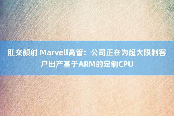 肛交颜射 Marvell高管：公司正在为超大限制客户出产基于ARM的定制CPU