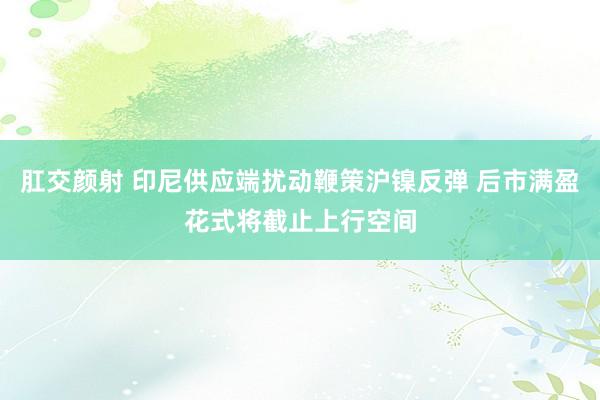 肛交颜射 印尼供应端扰动鞭策沪镍反弹 后市满盈花式将截止上行空间