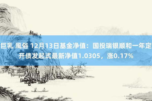 巨乳 風俗 12月13日基金净值：国投瑞银顺和一年定开债发起式最新净值1.0305，涨0.17%