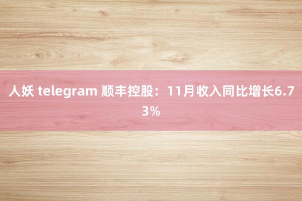 人妖 telegram 顺丰控股：11月收入同比增长6.73%