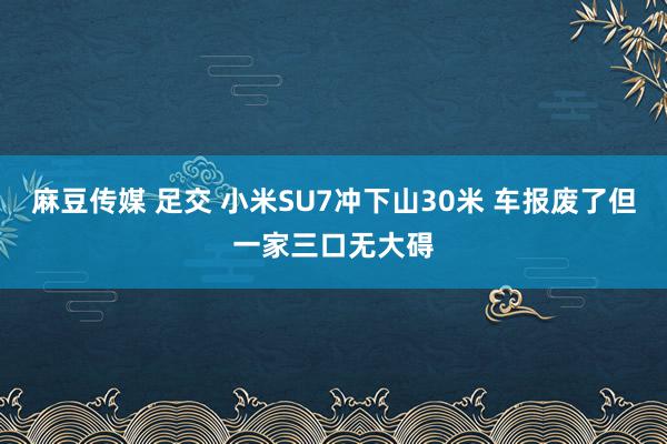 麻豆传媒 足交 小米SU7冲下山30米 车报废了但一家三口无大碍