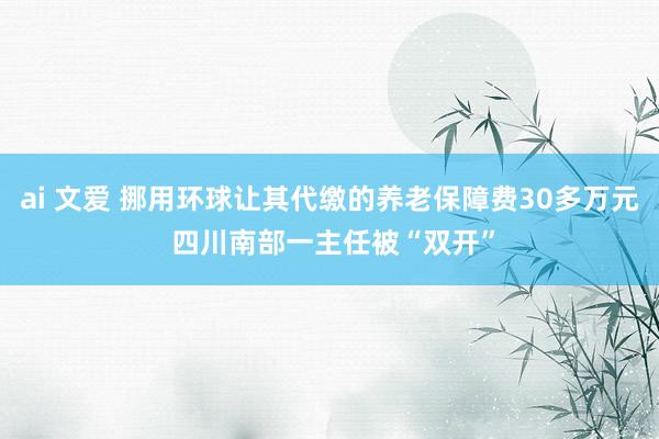 ai 文爱 挪用环球让其代缴的养老保障费30多万元 四川南部一主任被“双开”