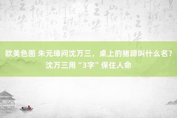 欧美色图 朱元璋问沈万三，桌上的猪蹄叫什么名？沈万三用“3字”保住人命