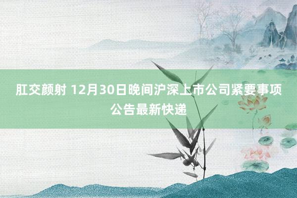 肛交颜射 12月30日晚间沪深上市公司紧要事项公告最新快递