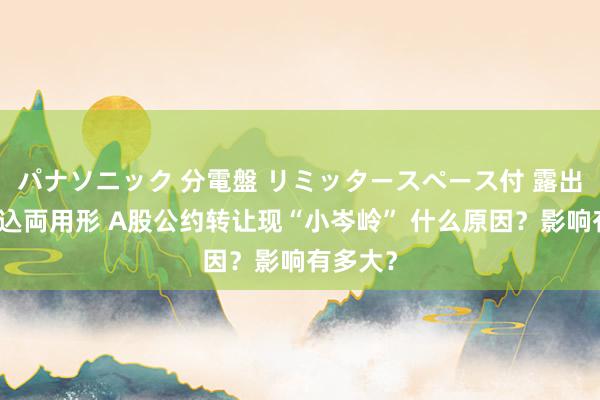 パナソニック 分電盤 リミッタースペース付 露出・半埋込両用形 A股公约转让现“小岑岭” 什么原因？影响有多大？