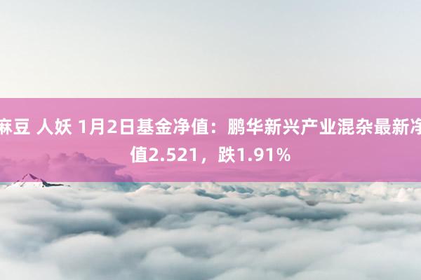 麻豆 人妖 1月2日基金净值：鹏华新兴产业混杂最新净值2.521，跌1.91%