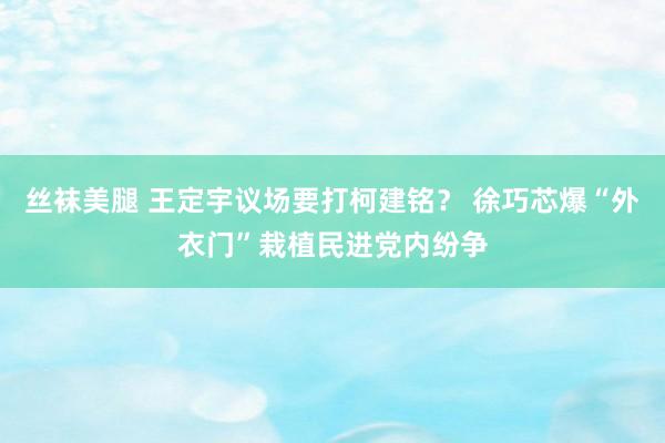 丝袜美腿 王定宇议场要打柯建铭？ 徐巧芯爆“外衣门”栽植民进党内纷争