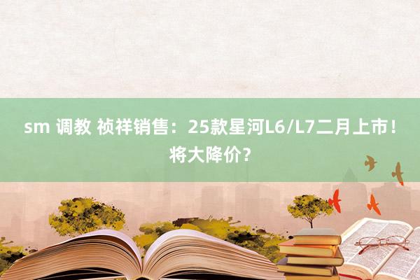 sm 调教 祯祥销售：25款星河L6/L7二月上市！将大降价？