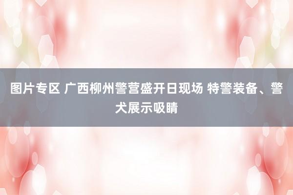 图片专区 广西柳州警营盛开日现场 特警装备、警犬展示吸睛