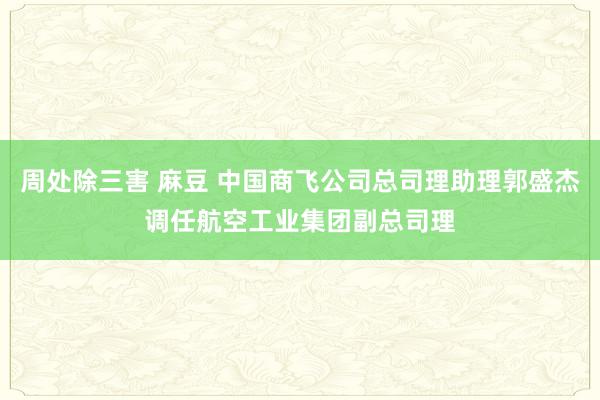 周处除三害 麻豆 中国商飞公司总司理助理郭盛杰调任航空工业集团副总司理